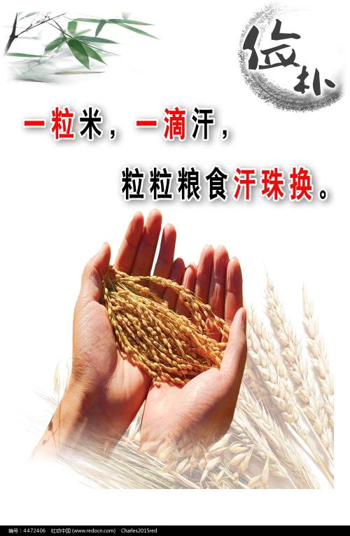 卢森堡公用事业账单样本照片